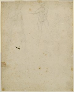 左から見た、直腸中央の図のスケッチ 作： Leonardo da Vinci